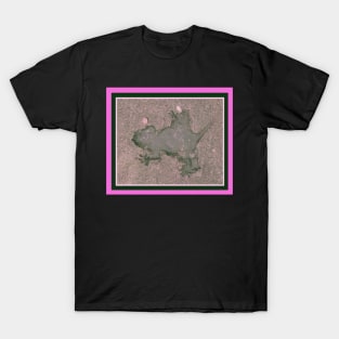 Chicago Rathole T-Shirt